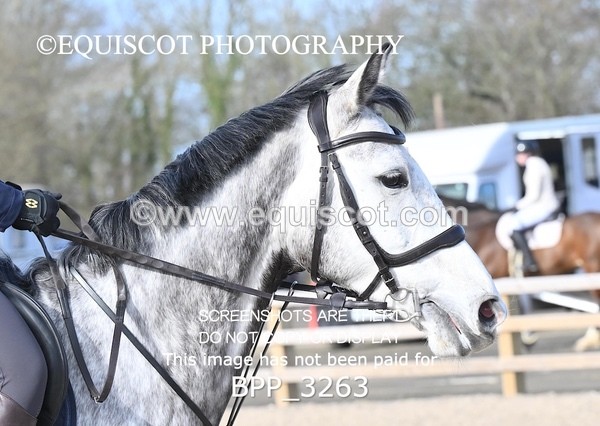 BPP_3263 - CLASS 2  Club/ Unaffiliated 80cms Open