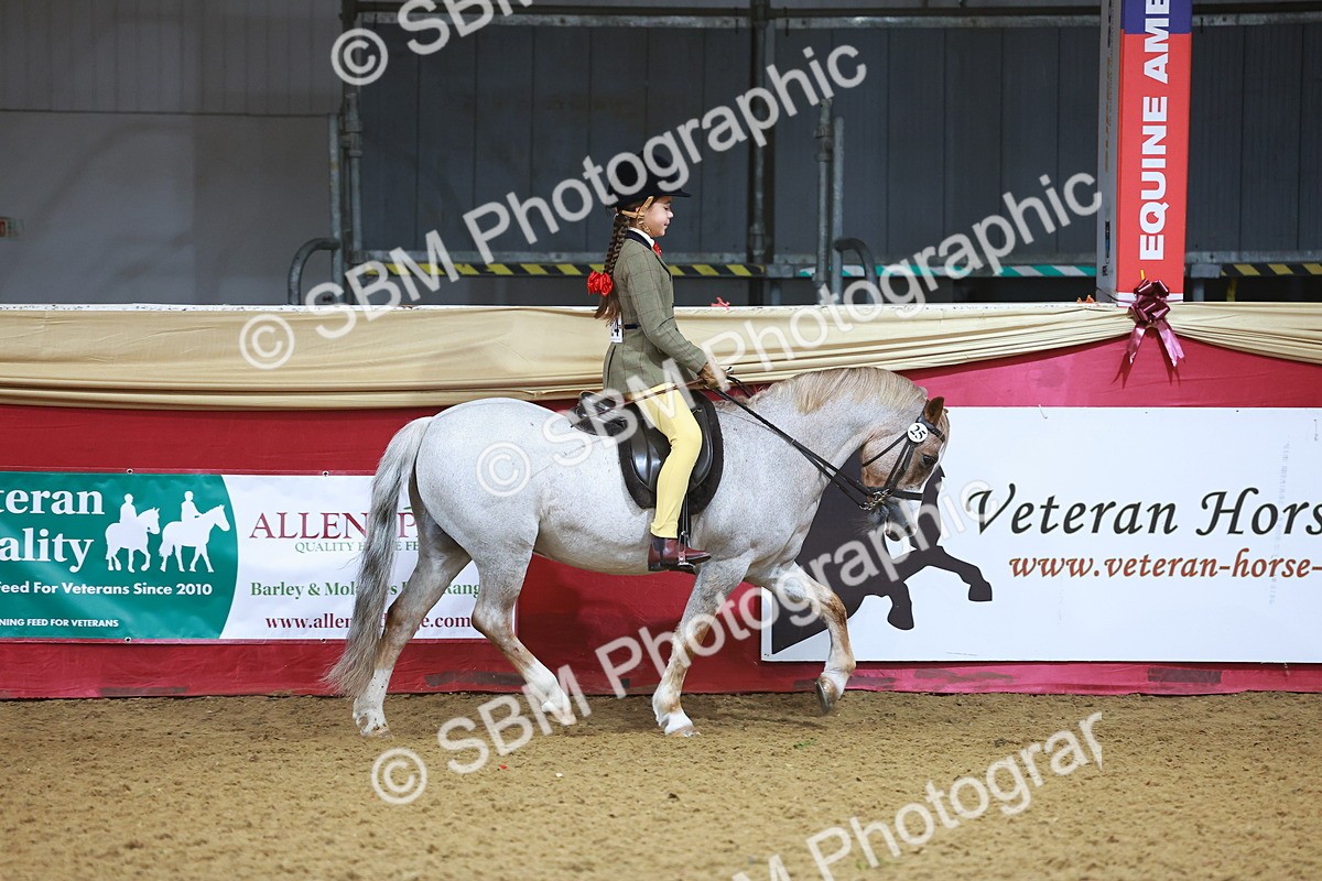 SBM_07599 - Class 101 - HOYS Veteran Qualifier - Ridden Diamond