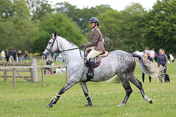IMG_2752 - Working Hunter