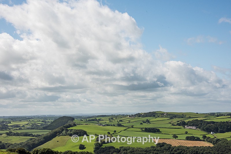 ACP_2484-2 - Rural Views