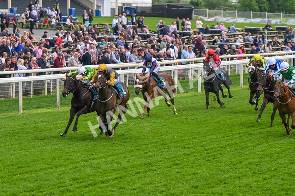 150524-Race 6-Shadow Army-4559 - Race 6 4.45pm British Stallion Studs EBF Novice Stakes