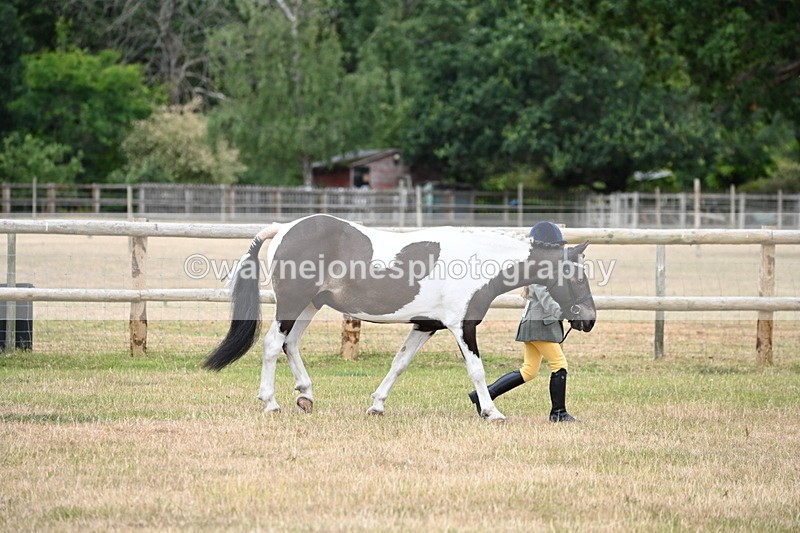 WJ6_4175 - Class 10 Coloured In-hand