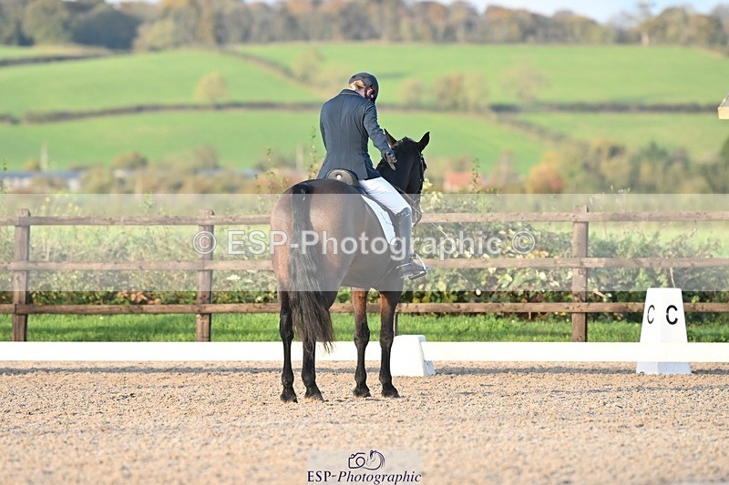 231105-153501-03080 - Cls 4 Novice 24 15.24 to 16.35 break