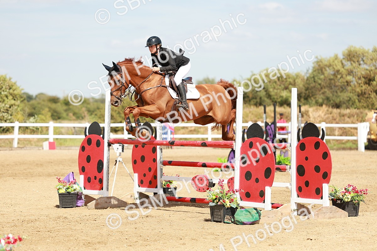 SBM_008013 - Class 4 - Senior Foxhunter - 1.20m Open