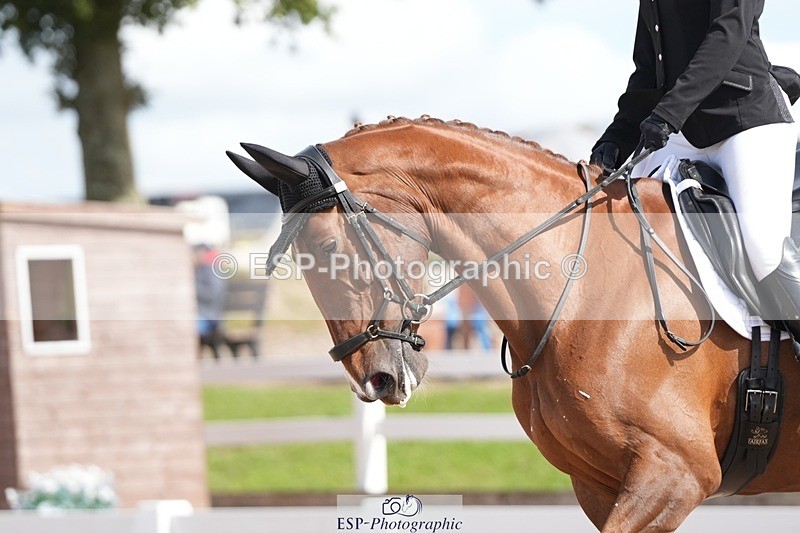 250906-123640-02225 - 015-Annie.MannLittle.Lady.Guinevere