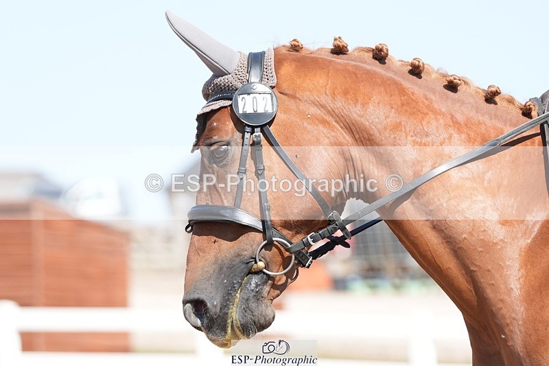 250817-151357-11160 - 202-Lisa.TorodeJe.Ne.Sais.Quoi