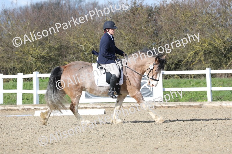 20260314-5013 - CT6 - Elementary 1