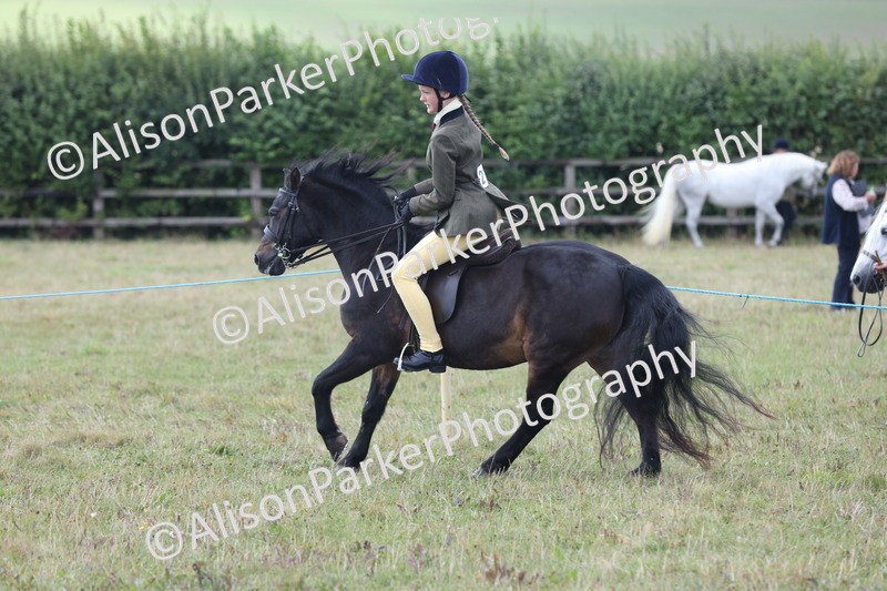 20250831-1175 - Class 15 - Ridden Veteran