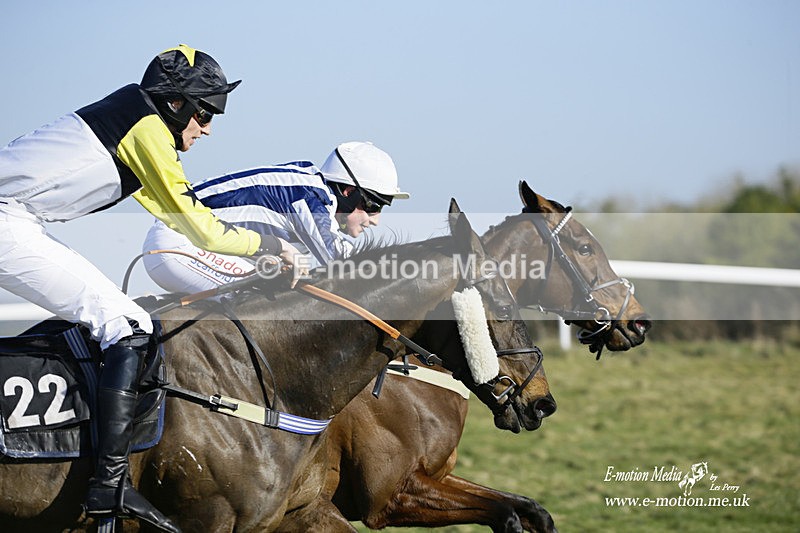 PtP 270222 113 - South & West Wilts Point-to-Point Larkhill 27/02/22
