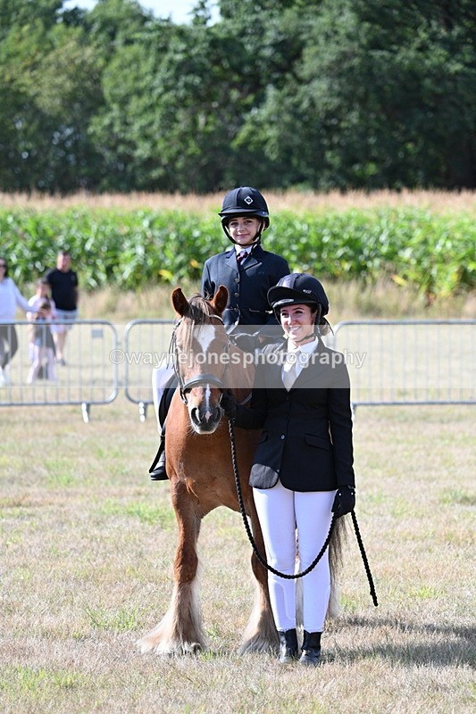 WJ7_2750 - Class 8 Ridden Tack & Turnout