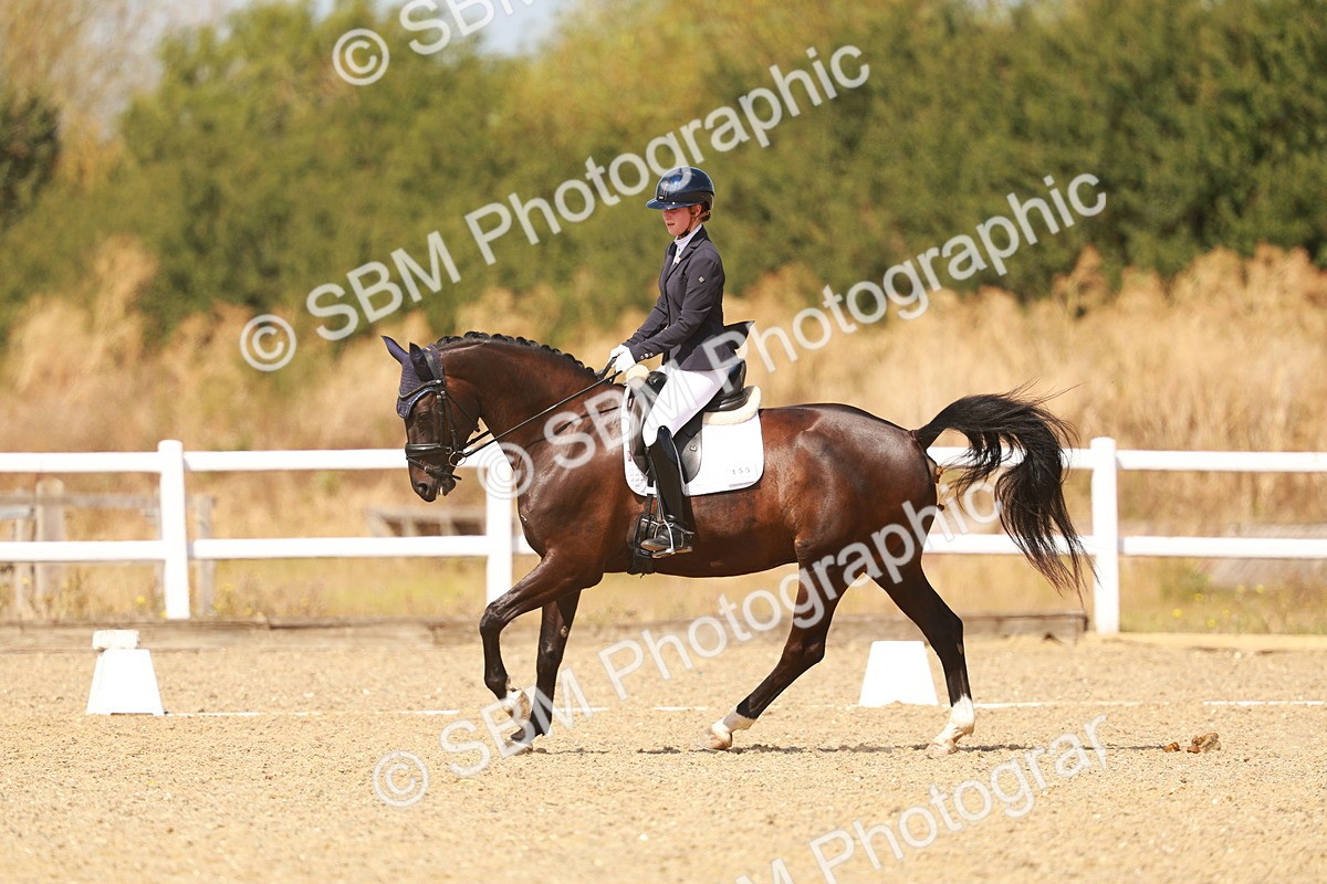 SBM_018392 - Class 9 - N5 Bronze 11.57.13.07