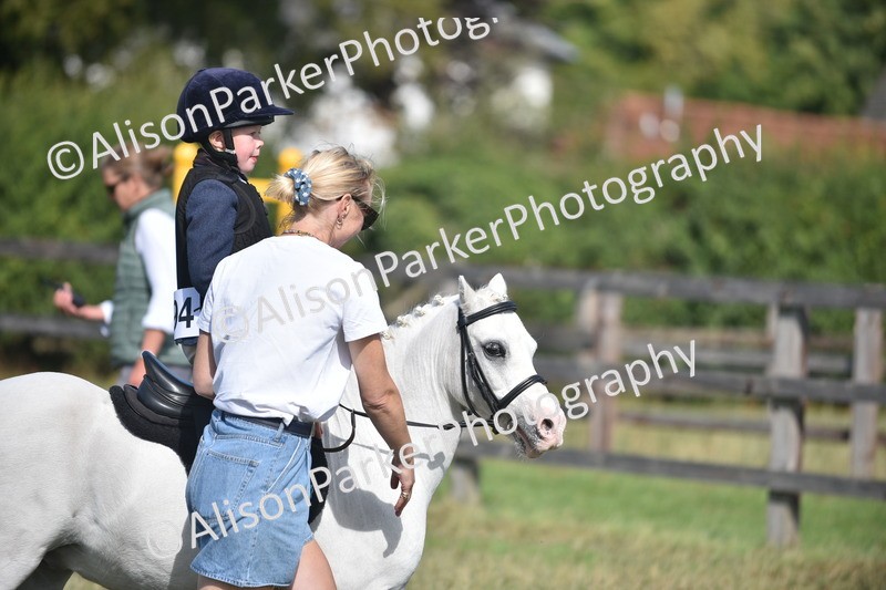20260906-0965 - Class 7 - Absolute Novice Jumping 35cm