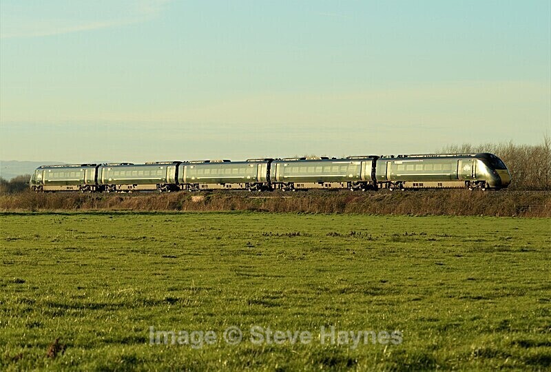 19th Jan 2020 - Curry Rivel (Oathe, Wick), Somerset