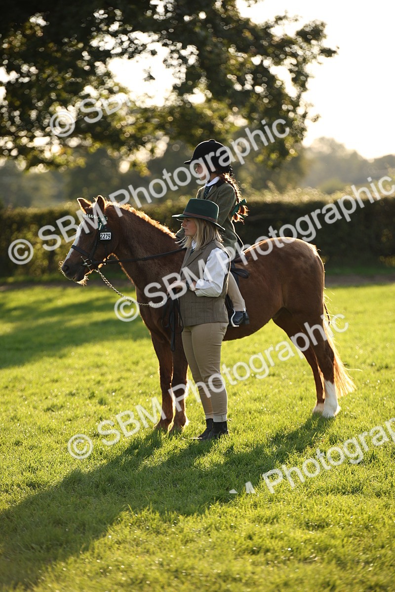 SBM_54437 - S27 - Mature Veteran - Ridden