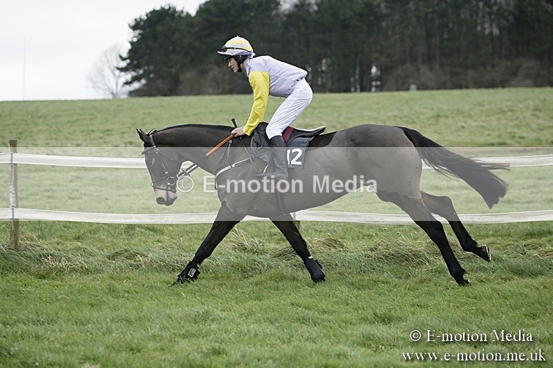 PtP 031217 547 - Hursley Hambledon Point-to-Point Larkhill 03/12/17