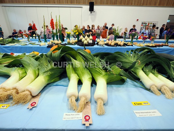selected147 - EARLSTON FLOWER SHOW. 2025