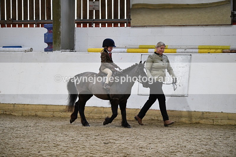 WJ5_6595 - Class 10 Childs Pony