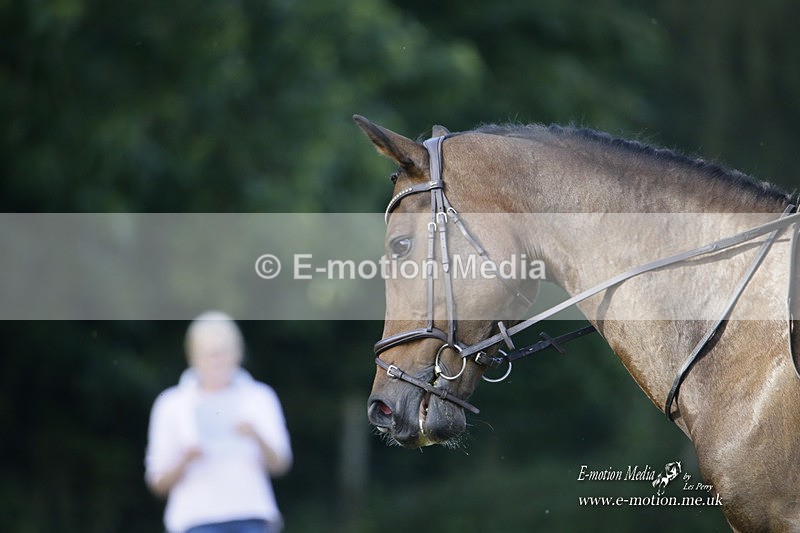 BVRC 120921 106 - Bourne Valley Riding Club UA Dressage & Show Jumping 12/09/21