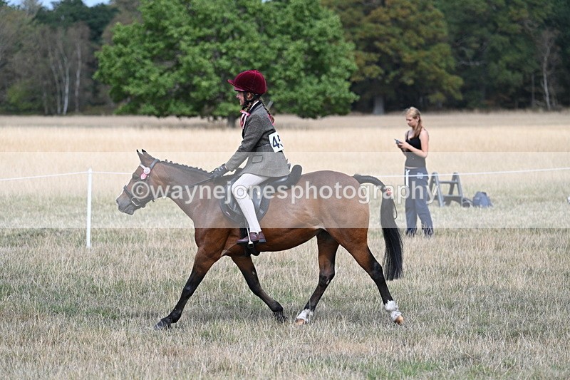 WJ7_5823 - Class 13 Ridden Veterans