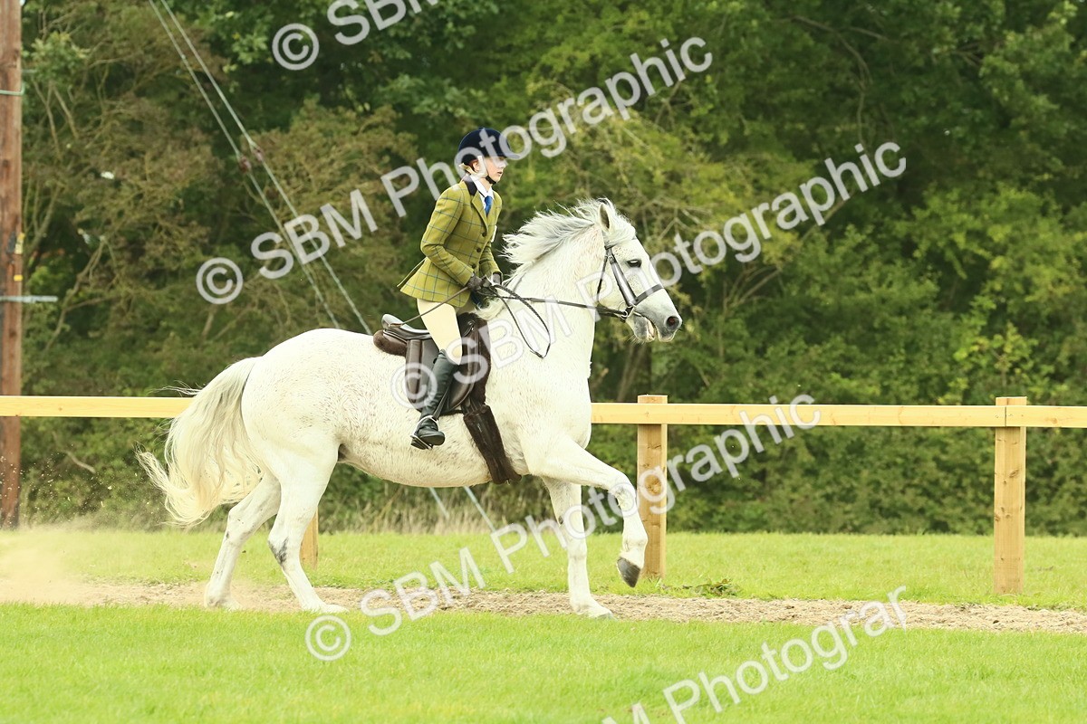 SBM_71914 - S60 - Mountain & Moorland Ridden Large Breeds