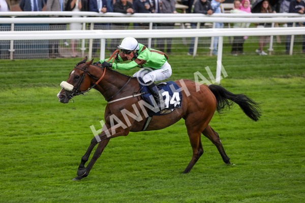 120724-Race 1-Tolstoy-1604 - Race 1 2.05pm William Hill Extra Place Races Daily Handicap