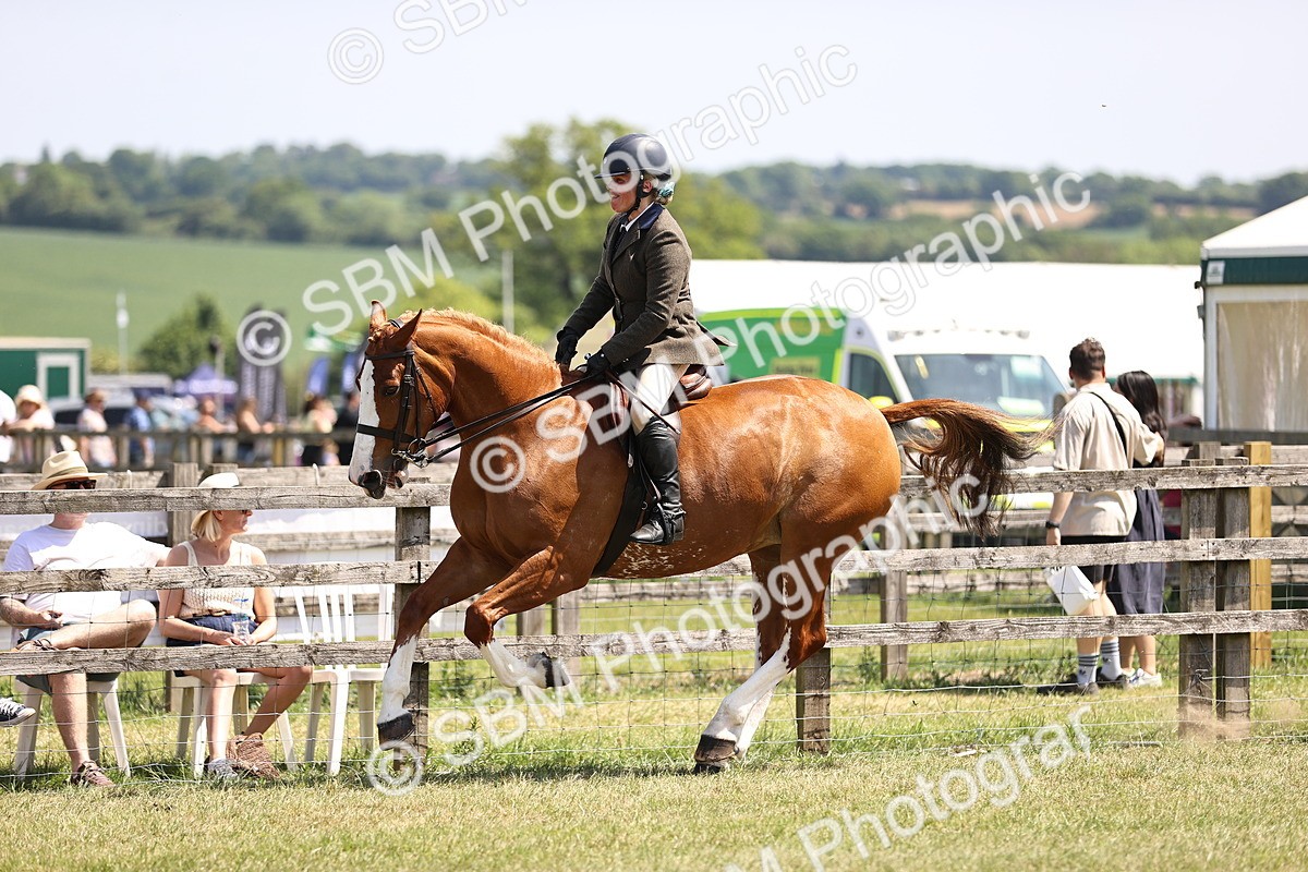 SBM_15106 - Class 79-80 - LIHS BSHA Rising Star Ridden Hunter