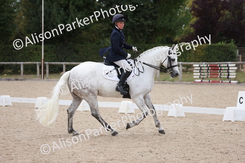 20250820-1164 - Class 17 - Elementary 4