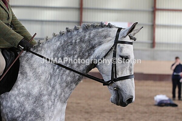 SIAL1333 - Indoor Classes