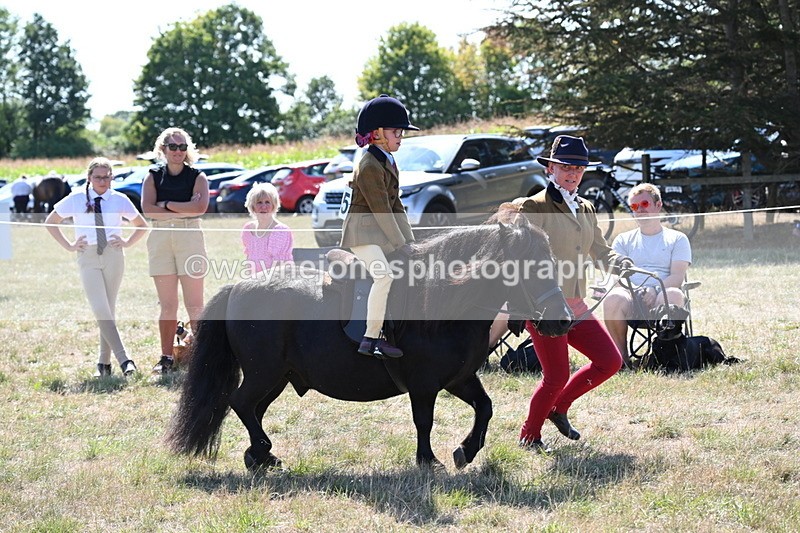 WJ6_7722 - Class 36 Lead Rein