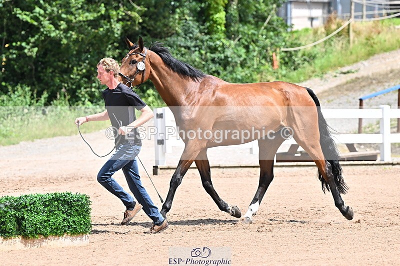 240718A-105251-01248 - Trot Up 12pm to 1pm