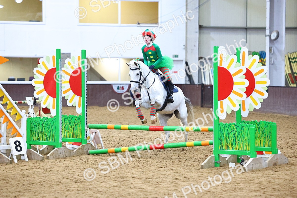 SBM_001373 - Class 3 - Christmas Tree Stakes - 60cm