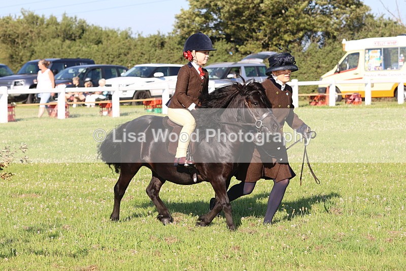 JPP_0836 - Class 16: Cornish Combination Leading Rein
