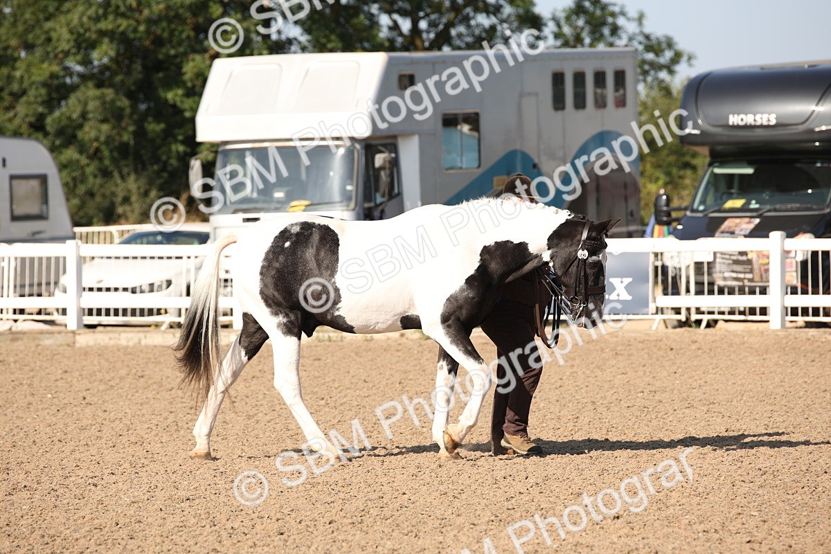 SBM_01429 - Class 15 IH Coloured