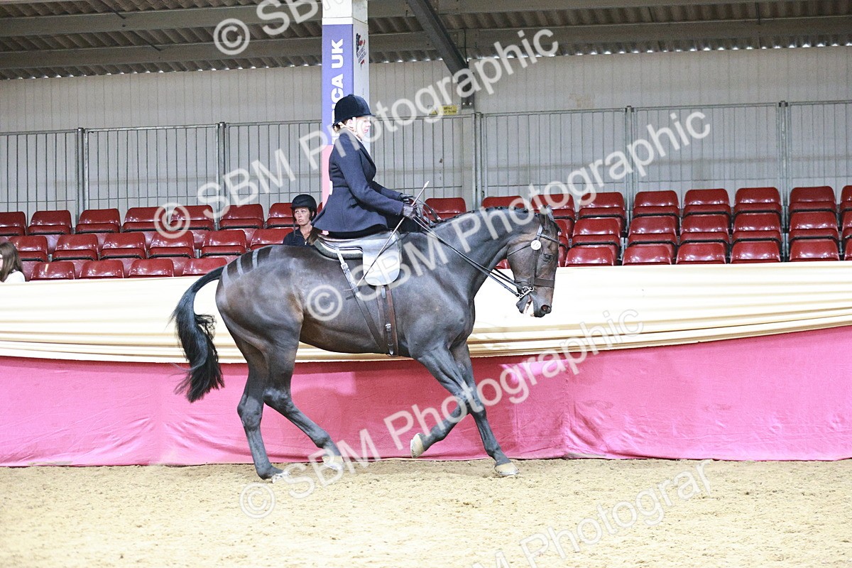 SBM_08768 - Class 12R - Regional Ridden Pre-Vet