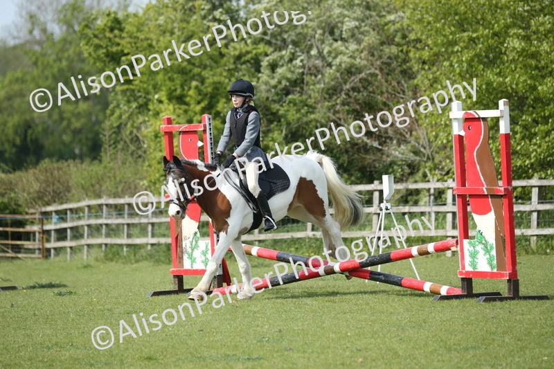 20260426-1550 - Class 14 - Novice 60cm