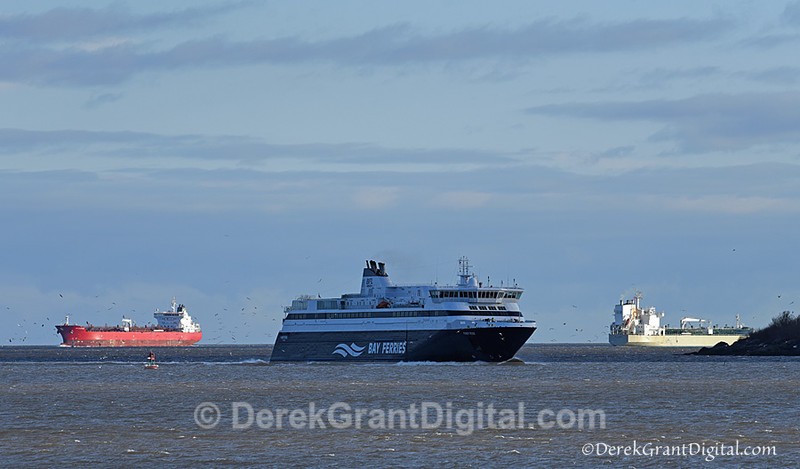 Rush Hour @ Port of Saint John New Brunswick Canada - Boats