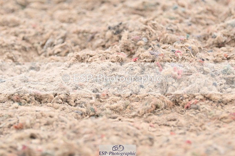 ESP_1491 - Cls 51 BD Elementary 53