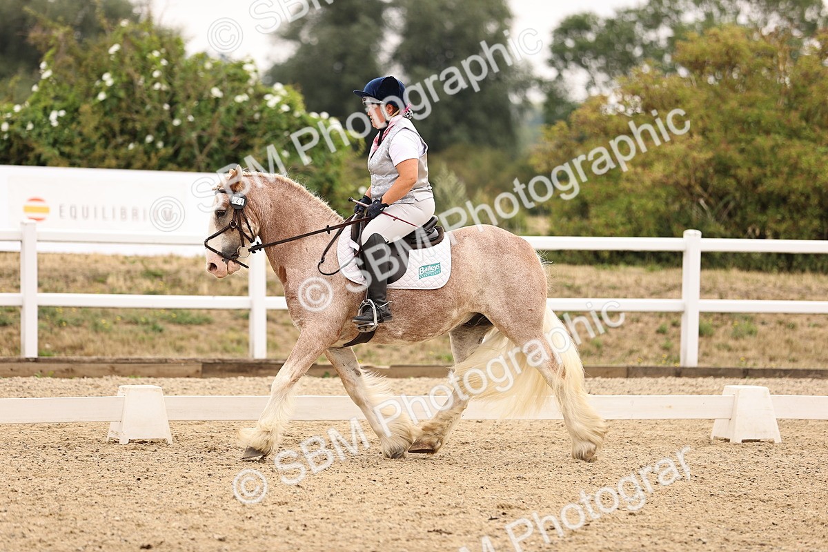 SBM_006421 - Intro 3 - 9.46-10.46