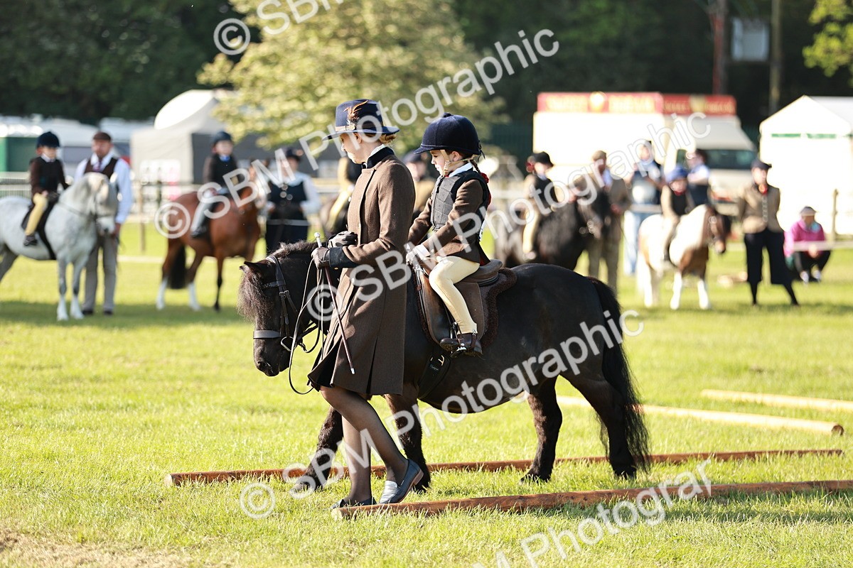 SBM_11071 - Class 106-107 - BSPS LIHS Working Sports Pony