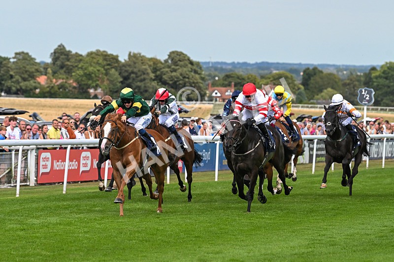 130825-Race 4-Rock Of England-1224 - Race 4