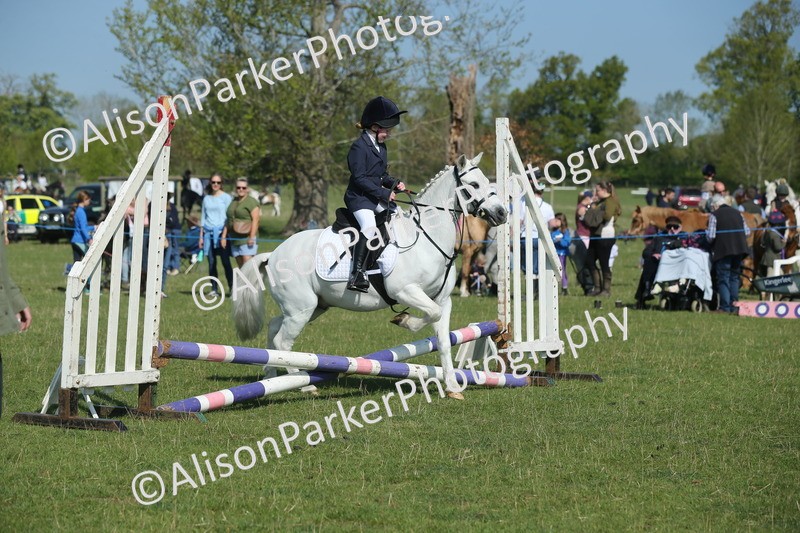 20250427-1033 - Class 1 - Mini Jumping Lead Rein or Assisted