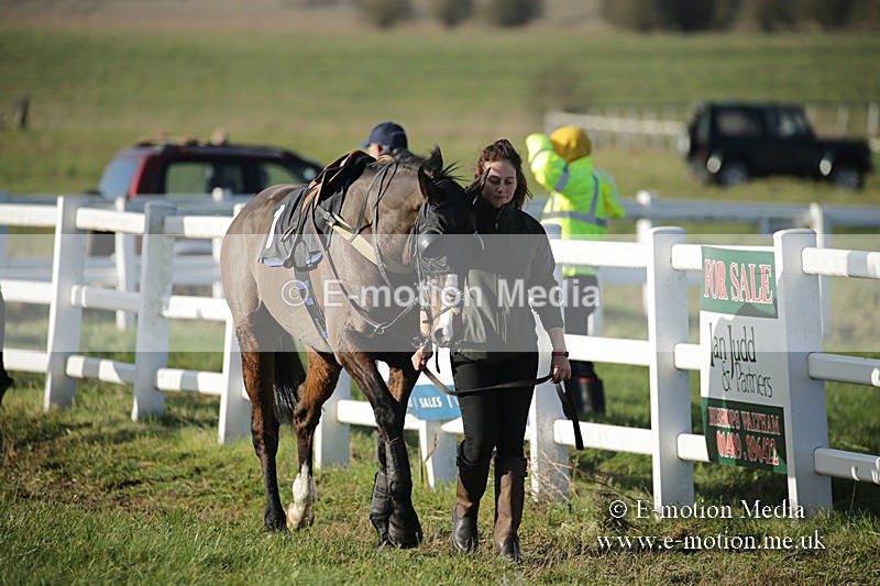 PtP 011219-0034 - Hursley Hambledon Hunt Point-to-Point 01/12/19