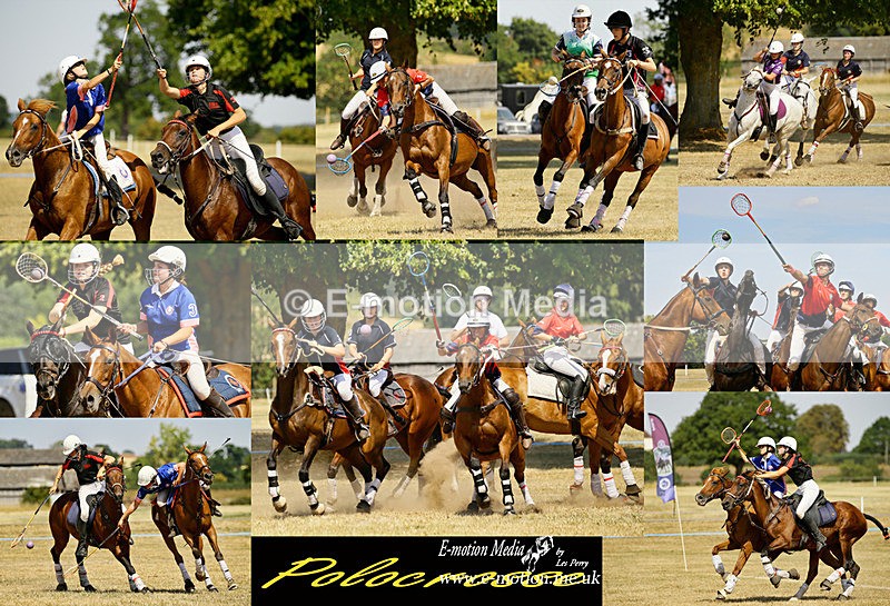 Polocrosse montage-1 - Equestrian