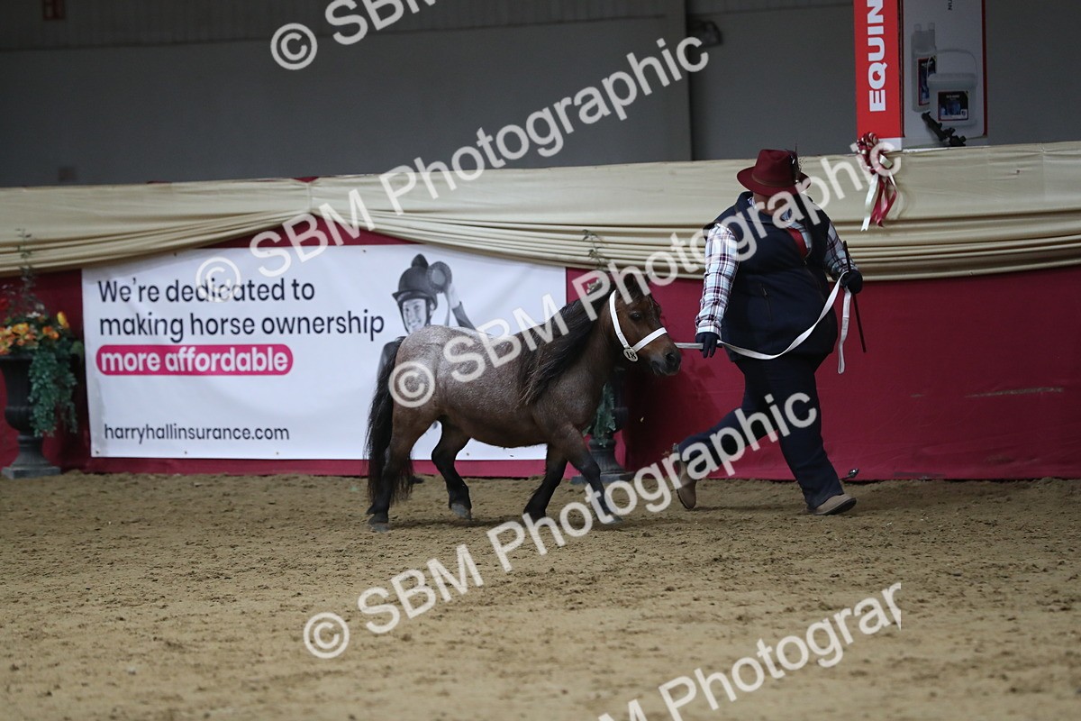 SBM_06366 - Class 9R Regional- IH Pre Vet