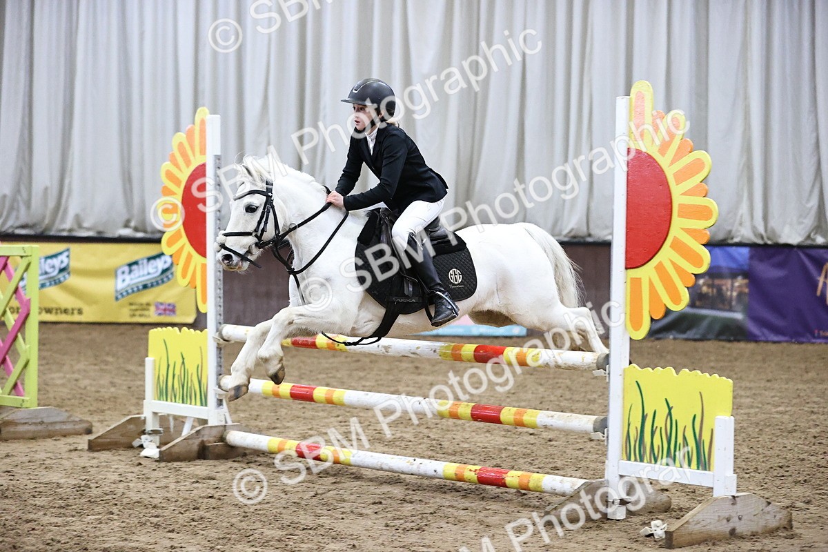 SBM_000318 - Class 2 - Pony British Novice - 80cm