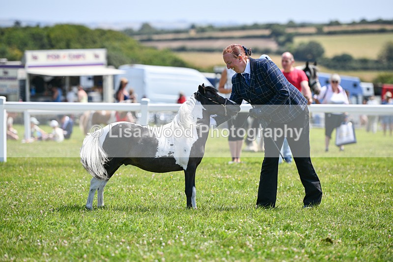 DSC_7328 - Class 62: Coloured Pony Youngstock
