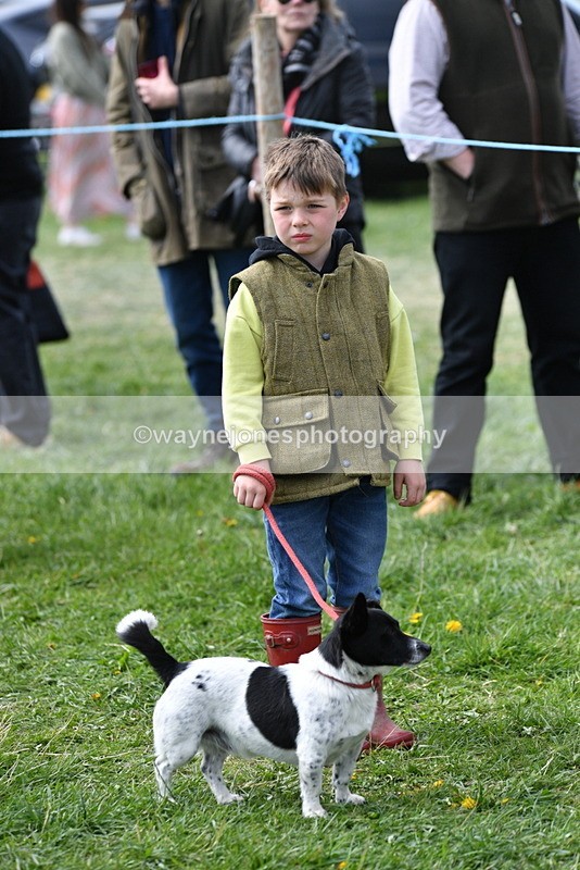 WJ5_0582 - Class 7 Best Terrier