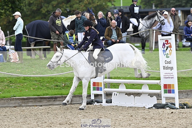 251005A-130558-04049 - Cls 08 Mini 70-75cm