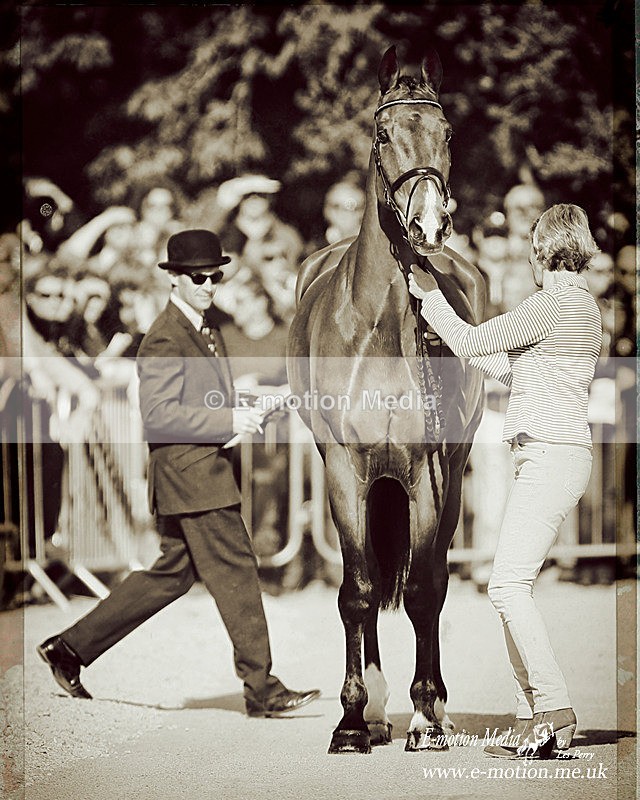 Bad 06052013-154bw - B & W photography