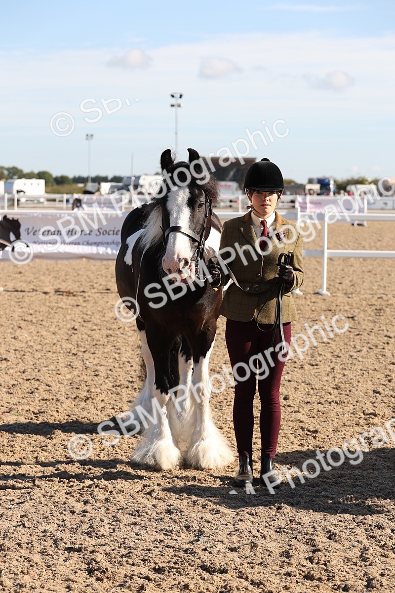 SBM_11741 - Class 204 - Young Handler 11 to 16 years